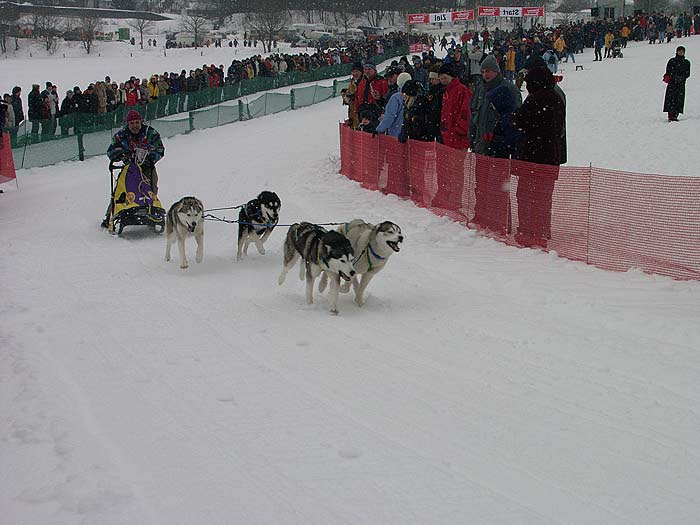 2003 schlittenhunde005.jpg